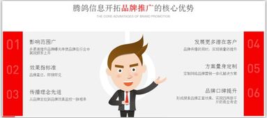 騰鴿信息 一站式網絡營銷外包與商務咨詢服務，驅動企業數字化增長